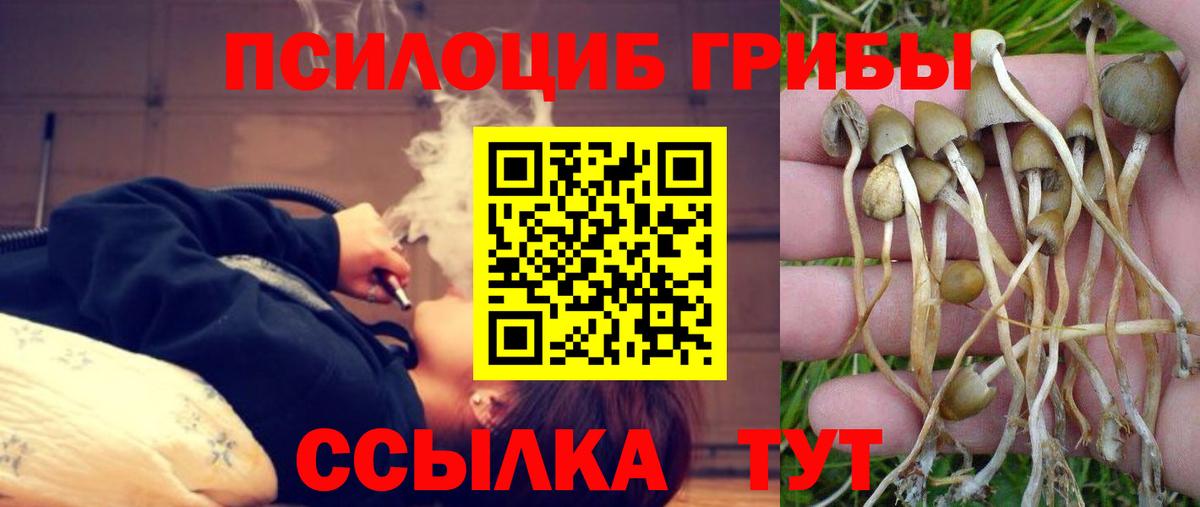 Псилоцибиновые грибы ЛСД Донецк